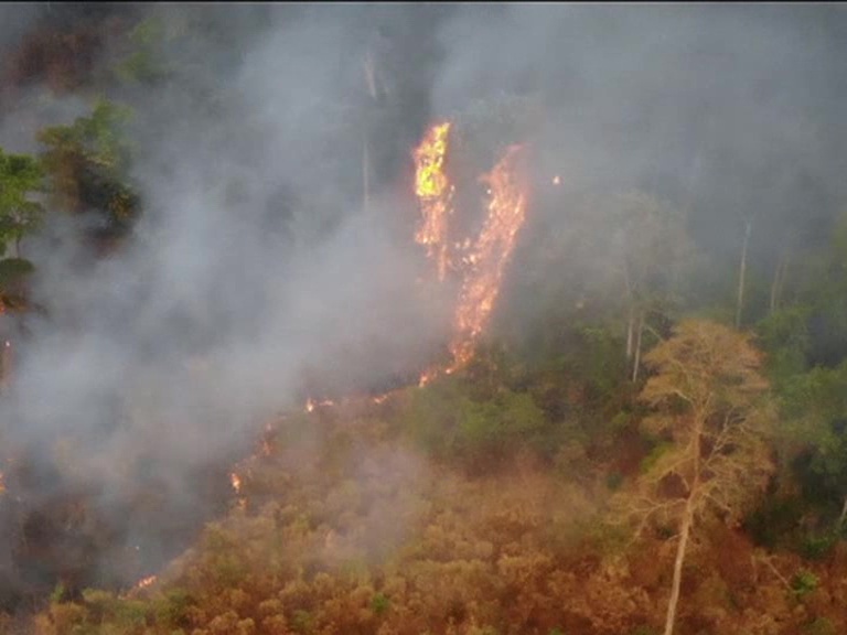 Thousands of fires were alight in Brazil, US, SPAIN