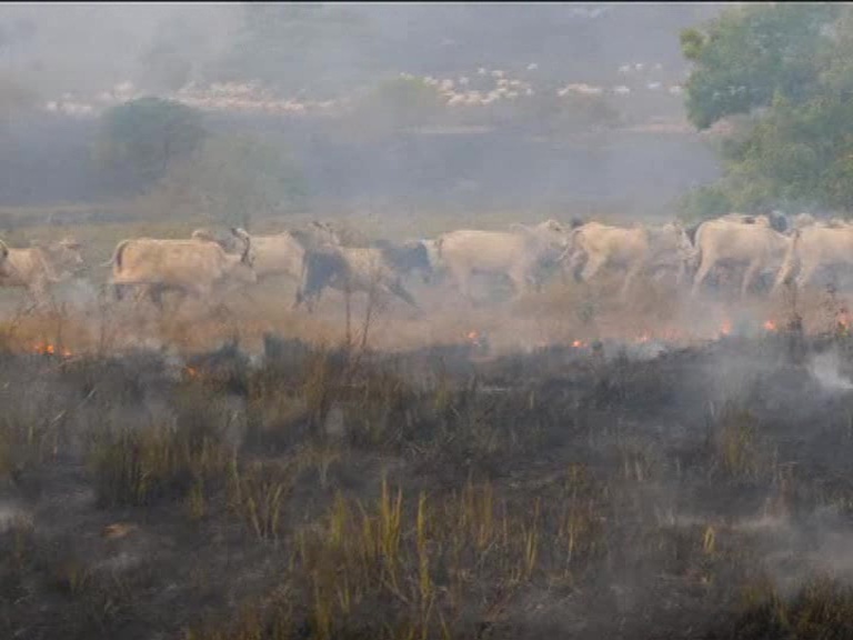 Thousands of fires were alight in Brazil, US, SPAIN