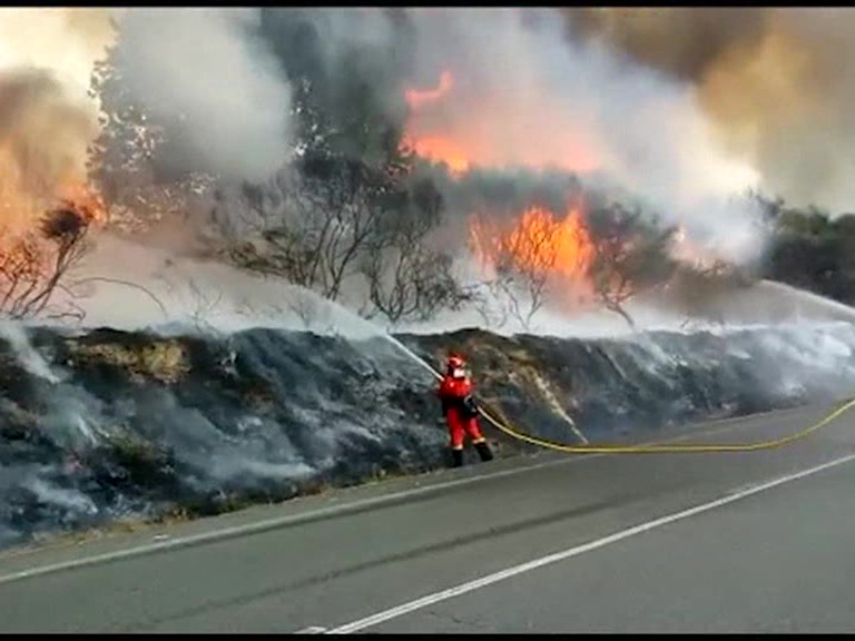 Thousands of fires were alight in Brazil, US, SPAIN