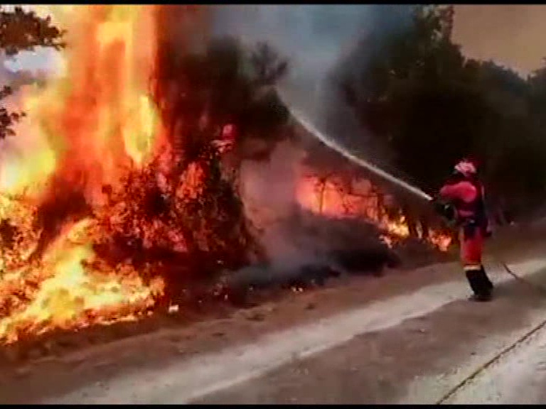 Thousands of fires were alight in Brazil, US, SPAIN