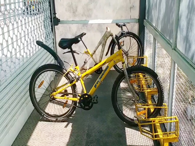 Jaipur's bicycle stand, जयपुर न्यूज