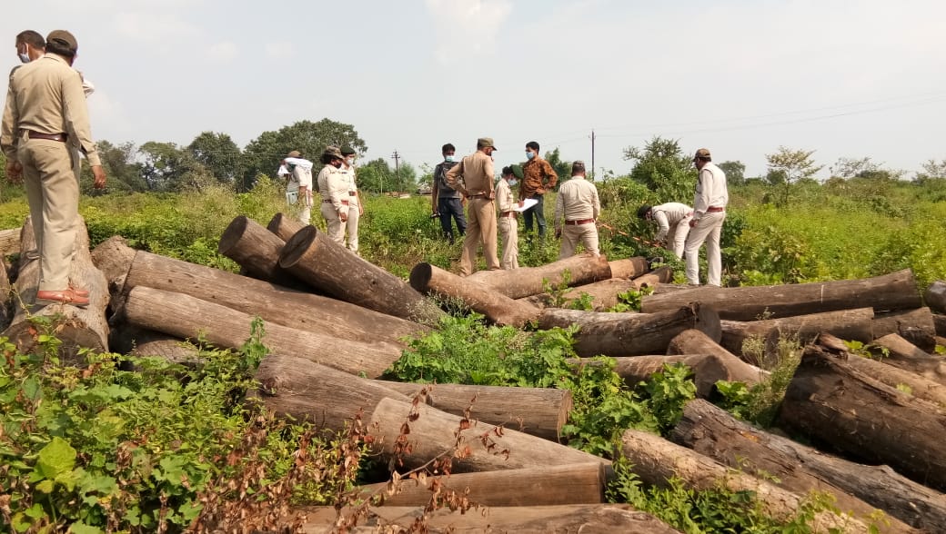 raigarh-forest-department-sized-78-sal-wood