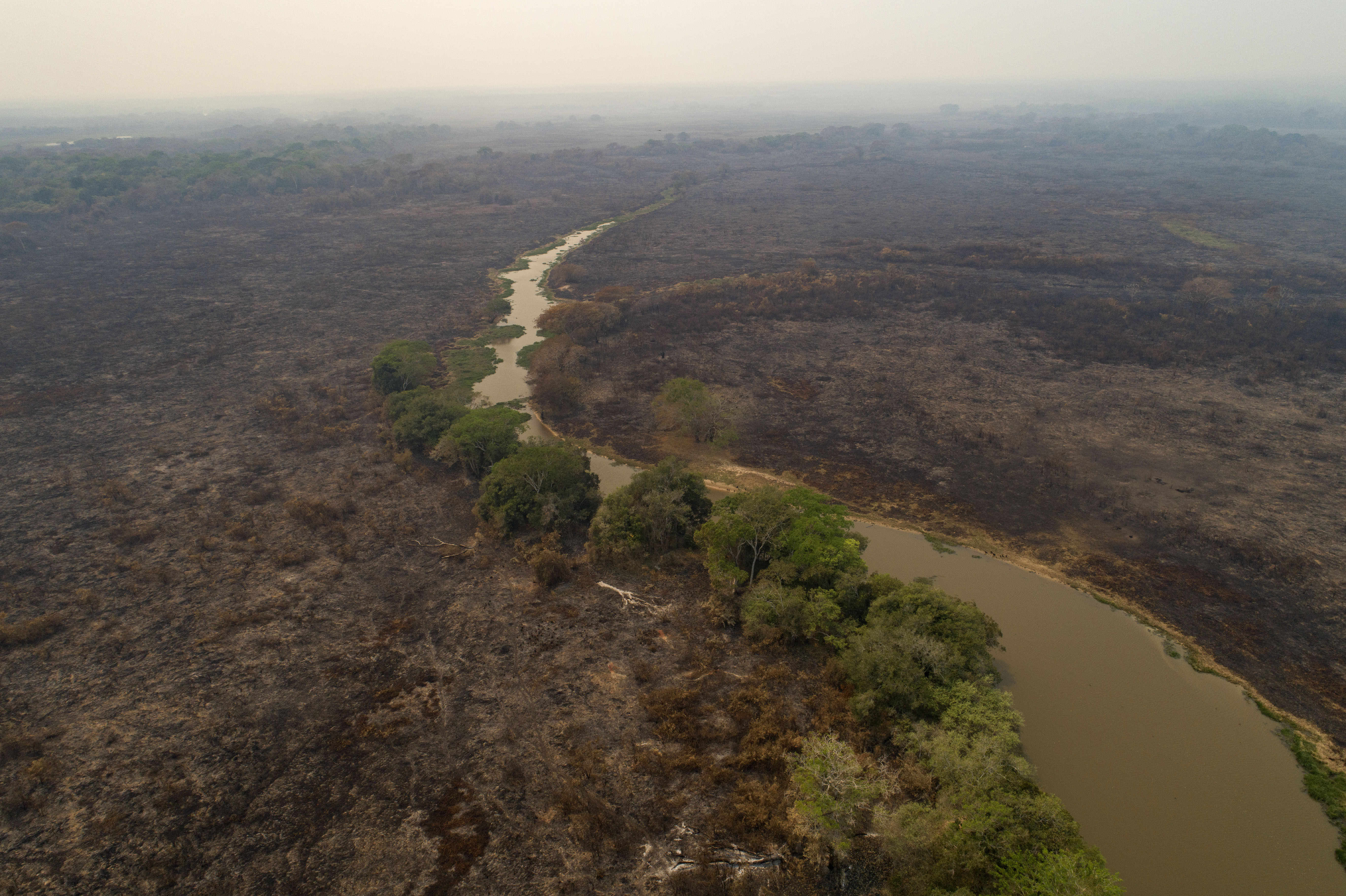 Brazil fires