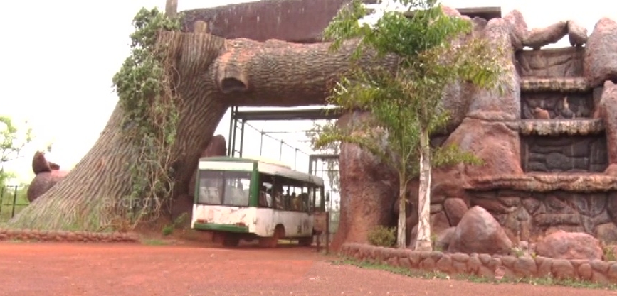 Man made forest jungle safari in Chattisgarh