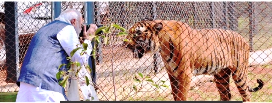 Man made forest jungle safari in Chattisgarh