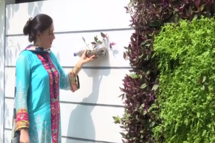 environmentalist-in-jammu-creates-vertical-gardens-using-plastic-bottles