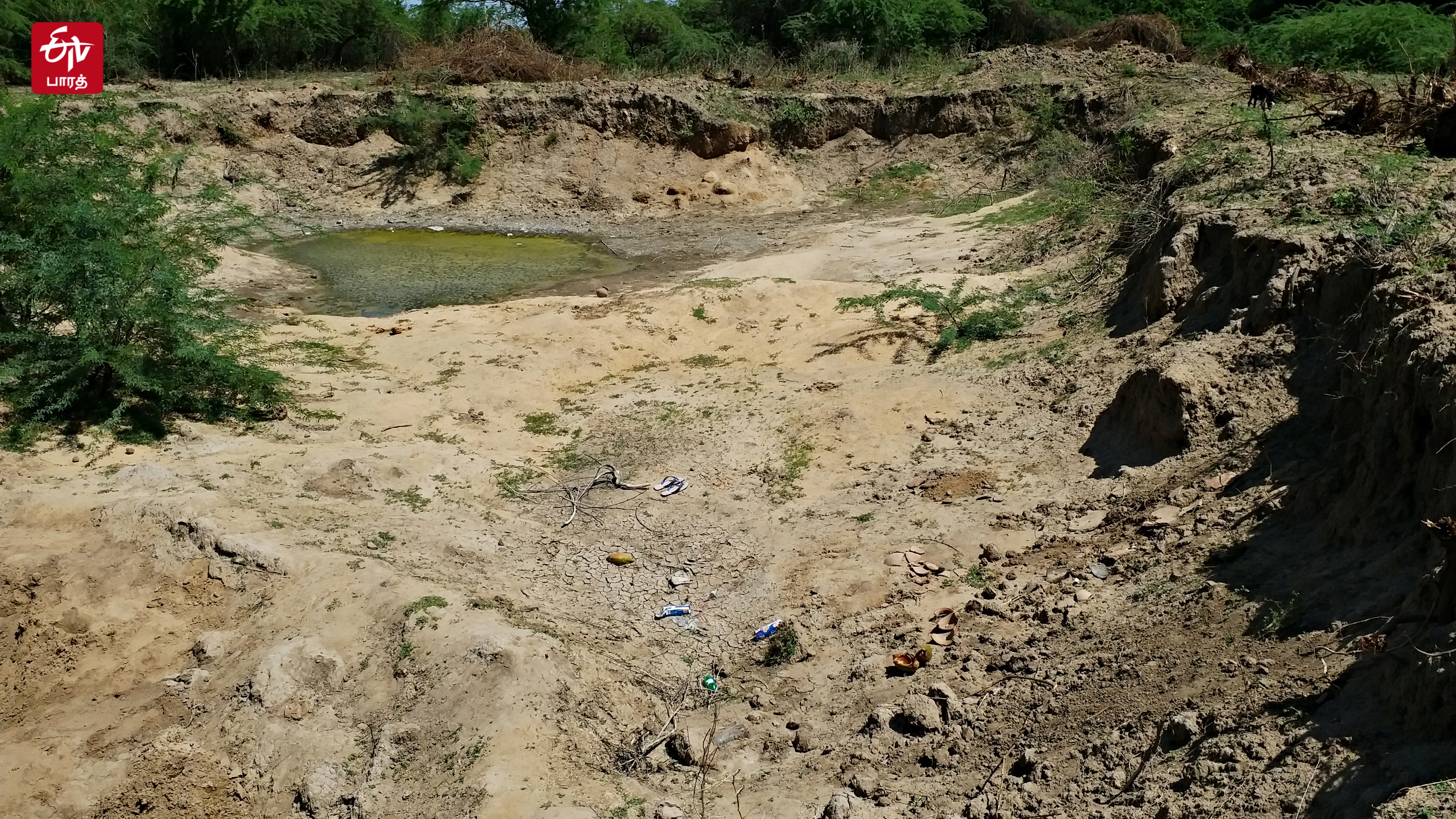 அகழ்வாராய்ச்சிக்கு வித்திட்ட குளம்