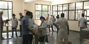 ludhiana-veterinary-university-comes-up-with-blood-bank-for-dogs