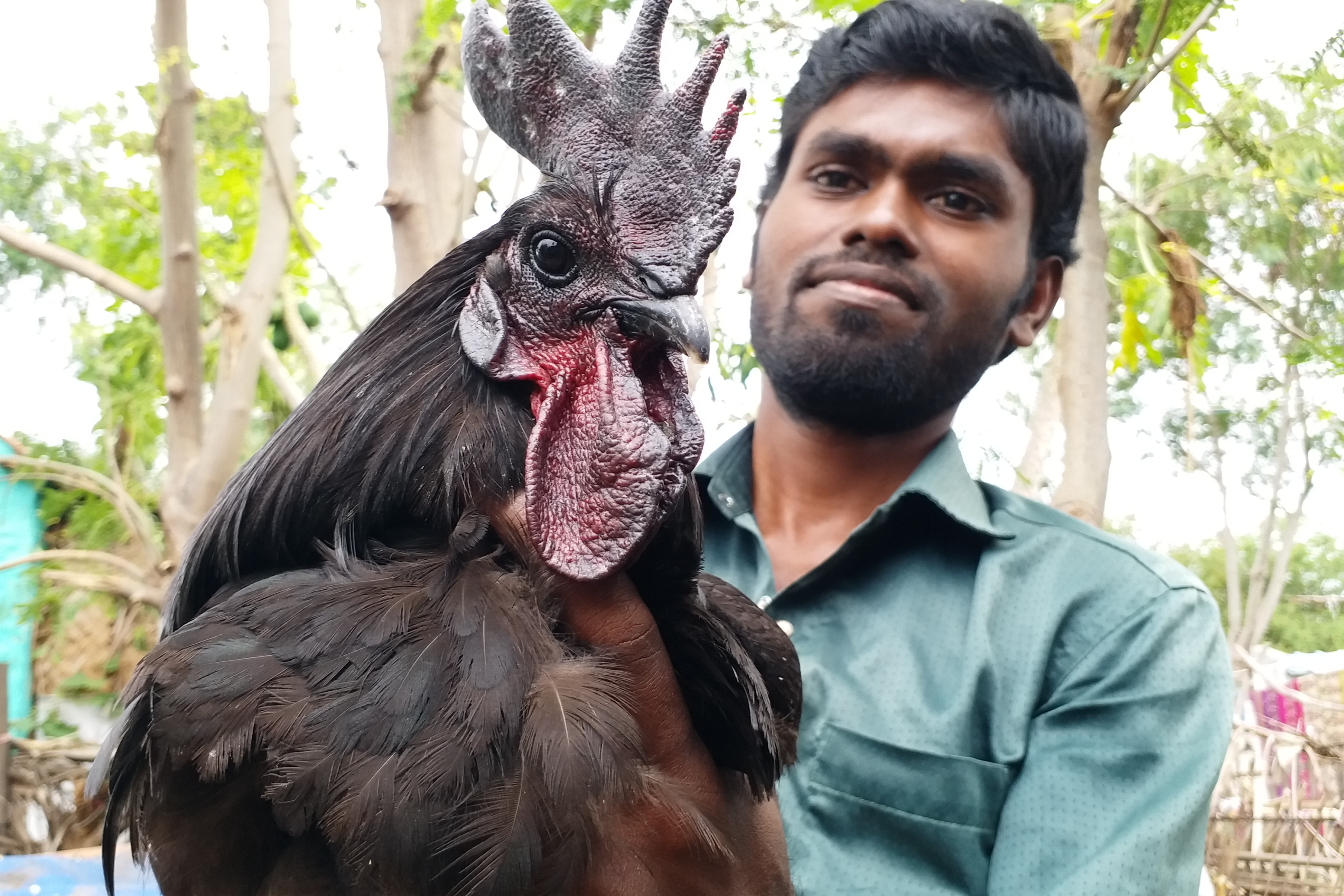 Engineering graduate makes a mark in country hen breeding!