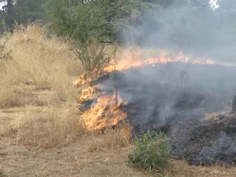 America wildfires: One of the firefighters was killed while trying to contain the blaze