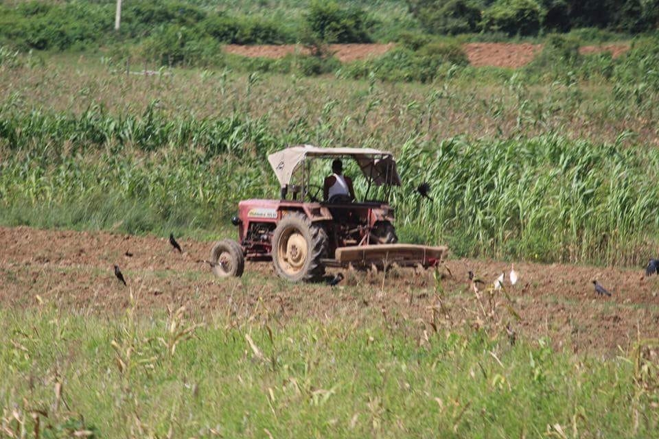 Is this how to give assurance to the farmers?