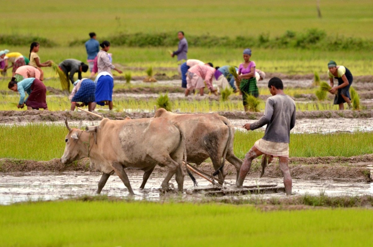 Is this how to give assurance to the farmers?