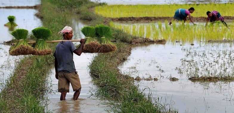 Is this how to give assurance to the farmers?