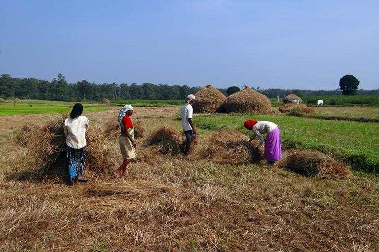 Is this how to give assurance to the farmers?