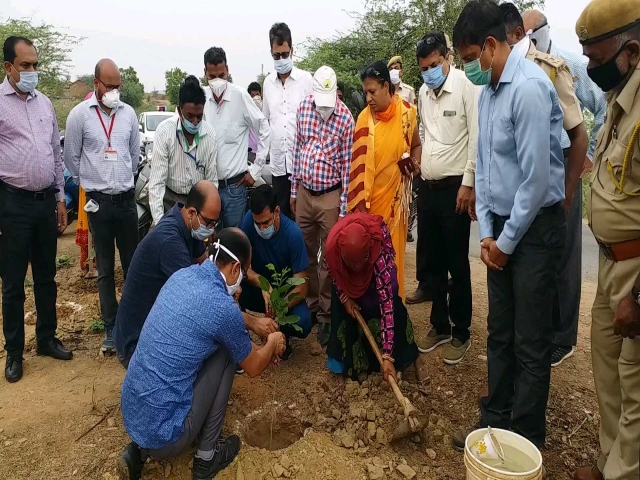 राजस्थान हिंदी न्यूज, Dungarpur Plantation Program