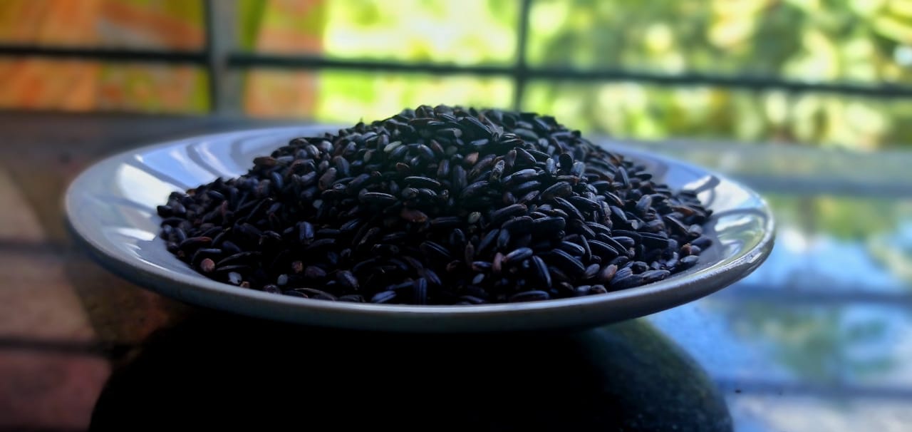 Indian farmers grow Indonesia's famous blue rice