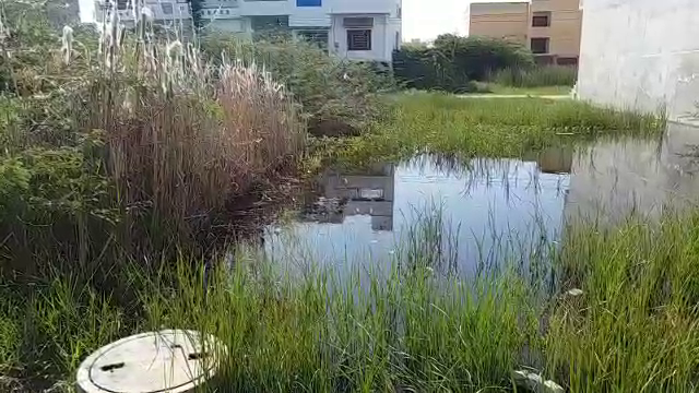 Water stored in empty plots