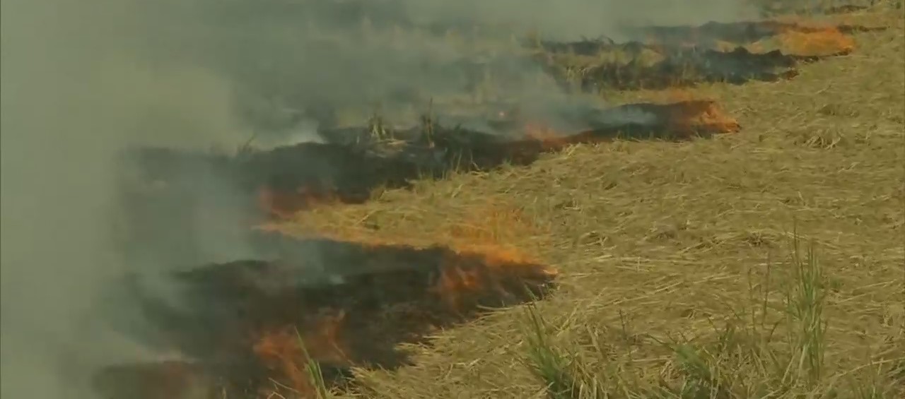 Farmers burn stubble in their fields in Devi Dass Pura