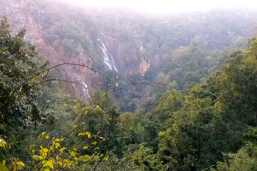 लातेहार का लोध जलप्रपात