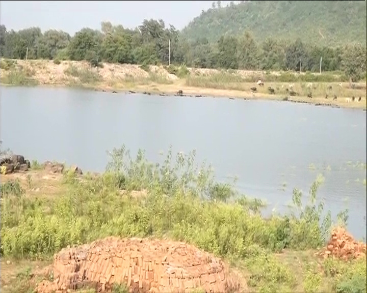 To resolve water crisis, MP village women cut hill to make way for water into pond