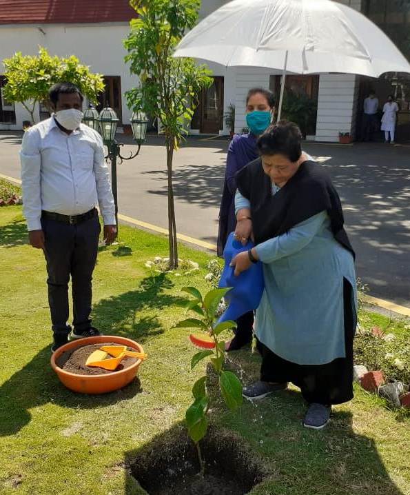 Governor Anusuiya Uike planted tree in the Raj Bhavan complex raipur