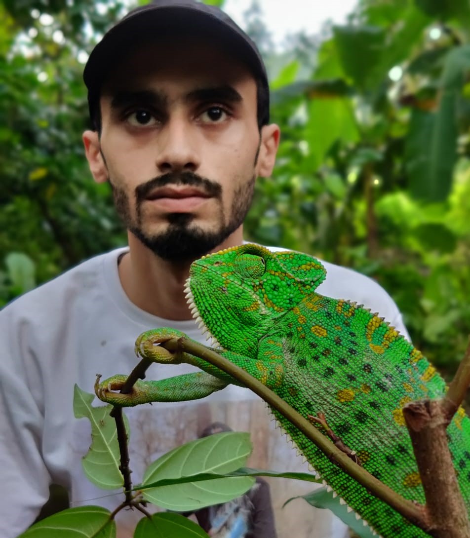 Rare chameleon freed by animal lover in betul