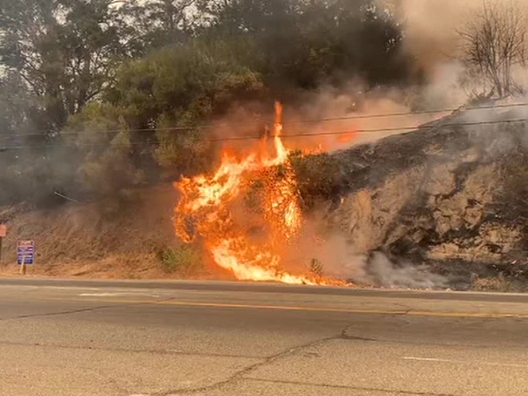 Three killed in Northern California wildfire; thousands flee