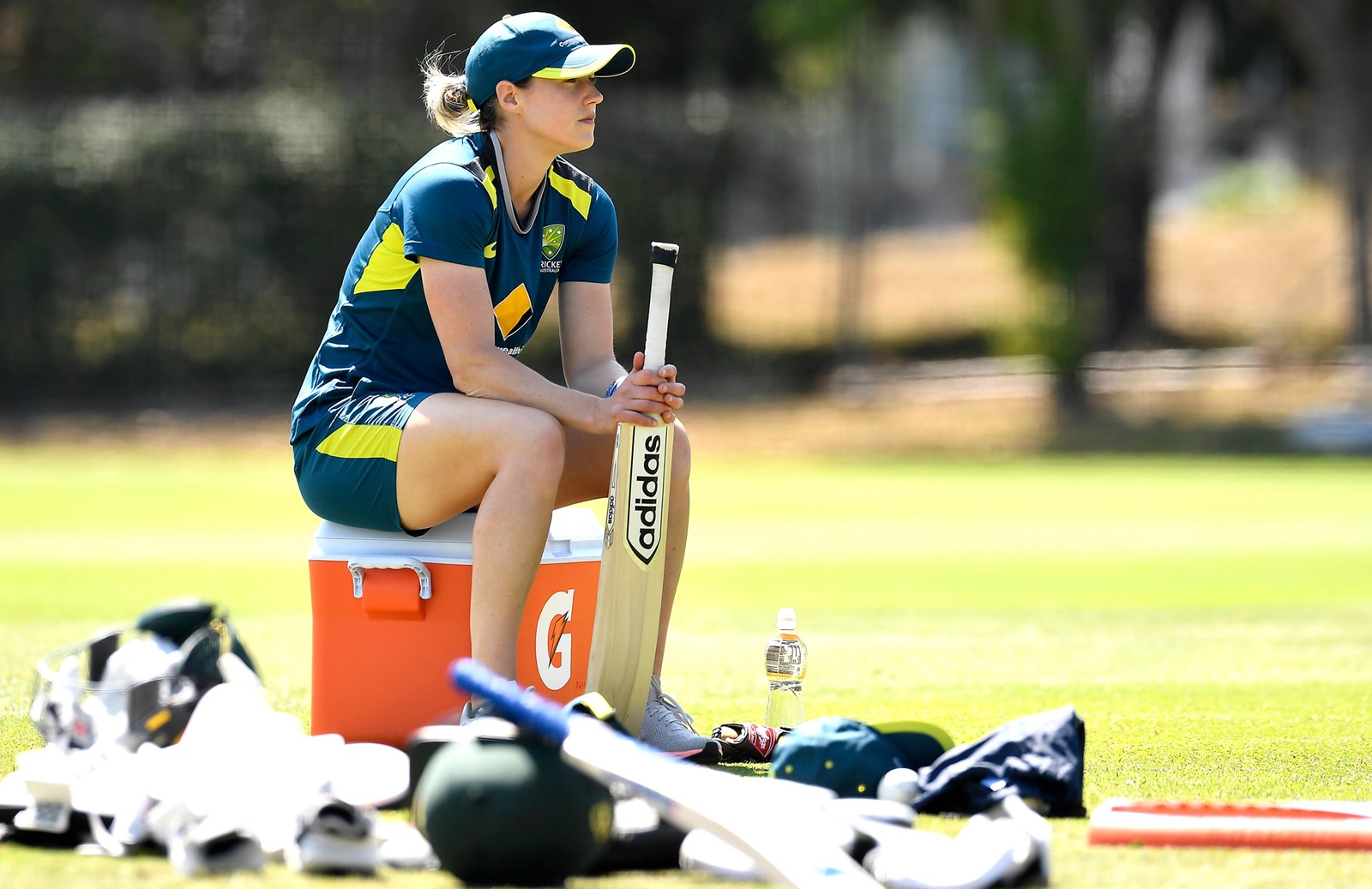 Ellyse Perry, Australia vs New Zealand