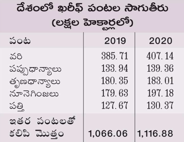 huge yields in telangana hwere farmers afraid about purchases