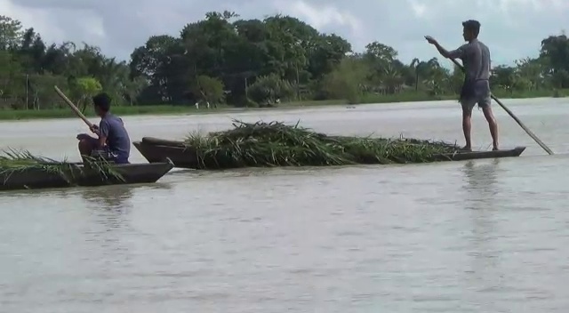 দলঙৰ অভাৱত দুৰ্ভোগ ভুগিছে ঢেকিয়াজুলিৰ ৰাইজে