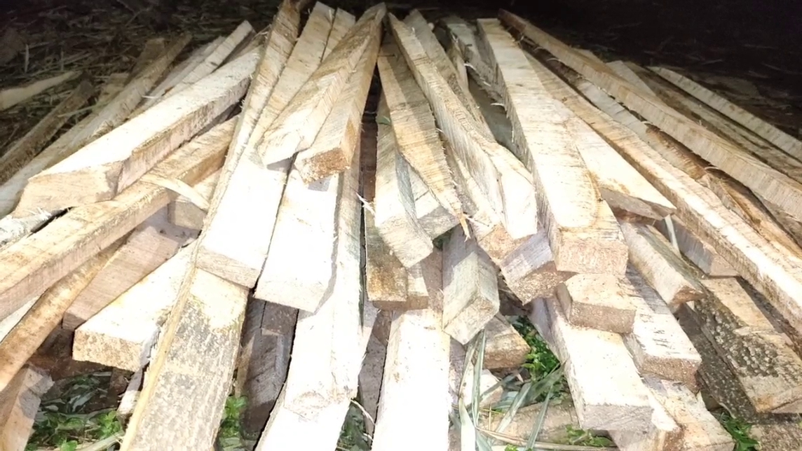 Illegal timber seized at Bilasipara
