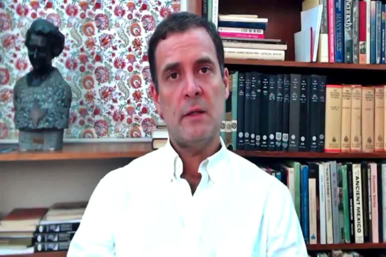 राहुल गांधी, कांग्रेस नेता