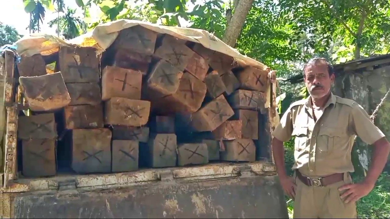 কৰিমগঞ্জত জব্দ চেগুন কাঠৰ কুন্দা ভৰ্তি টাটা ডিআই বাহন