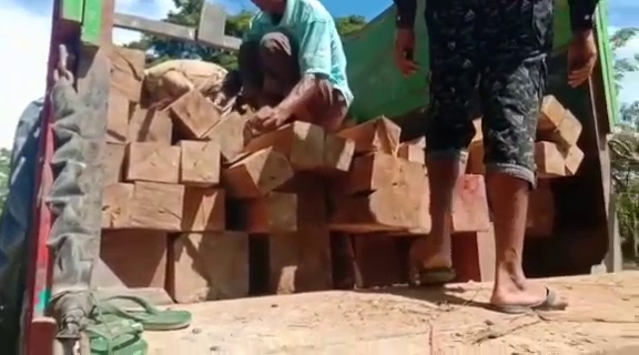 Seized Teak Wood  In Dholai Constituency Of Cachar District