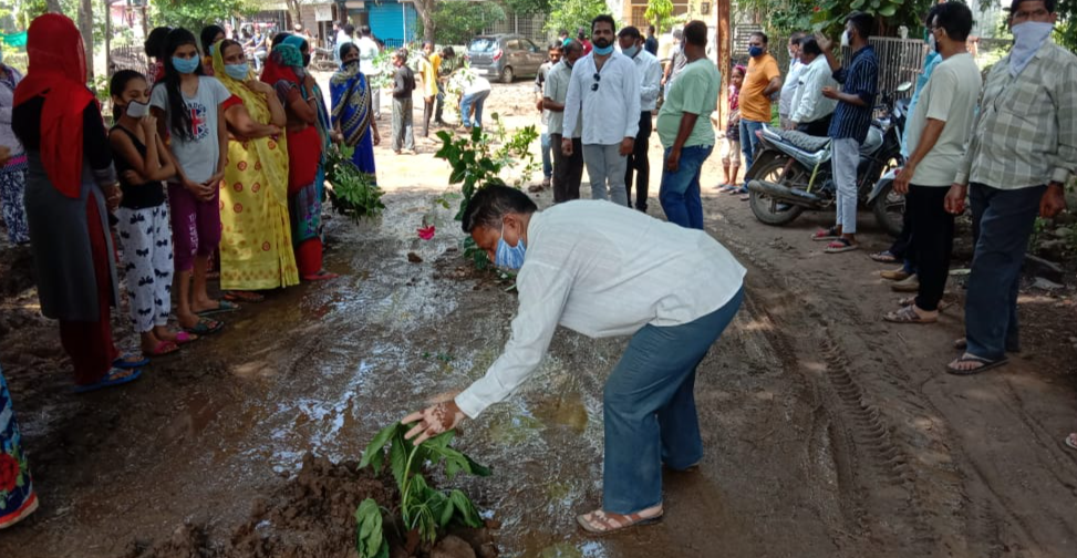 people planted tree on poor road