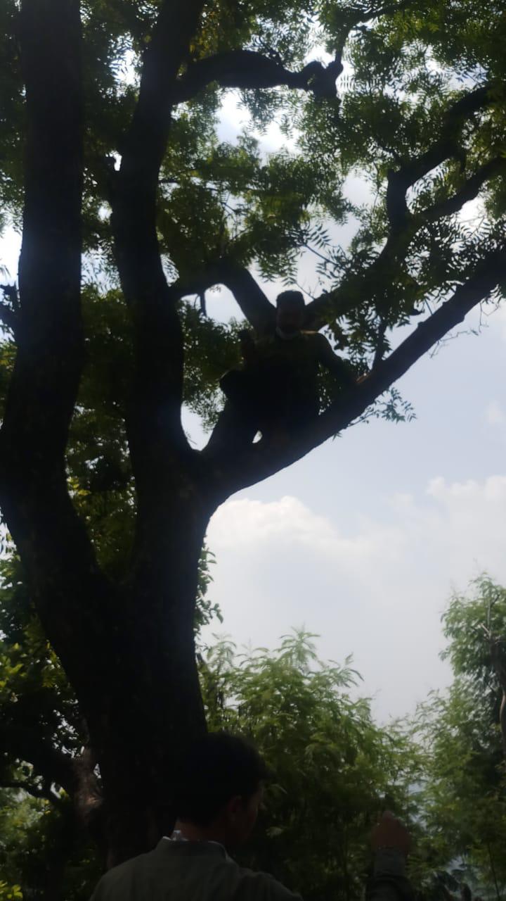 Sonu Sood installs mobile tower in Haryana village for students