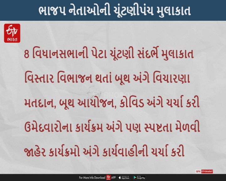 રજૂઆતો નહીં, કેટલીક સ્પષ્ટતાઓ માટે મુલાકાત કરી