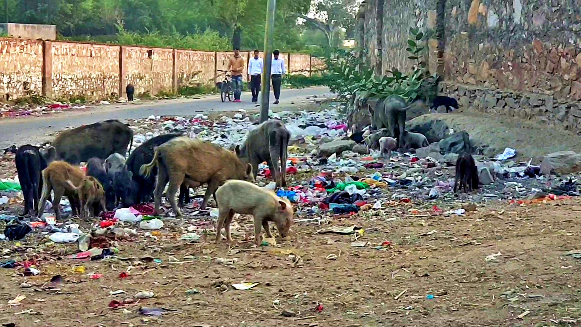 Cleaning system in Dausa, Dausa City Council, दौसा में सफाई व्यवस्था