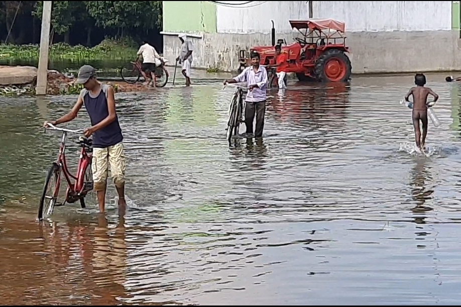 darbhanga