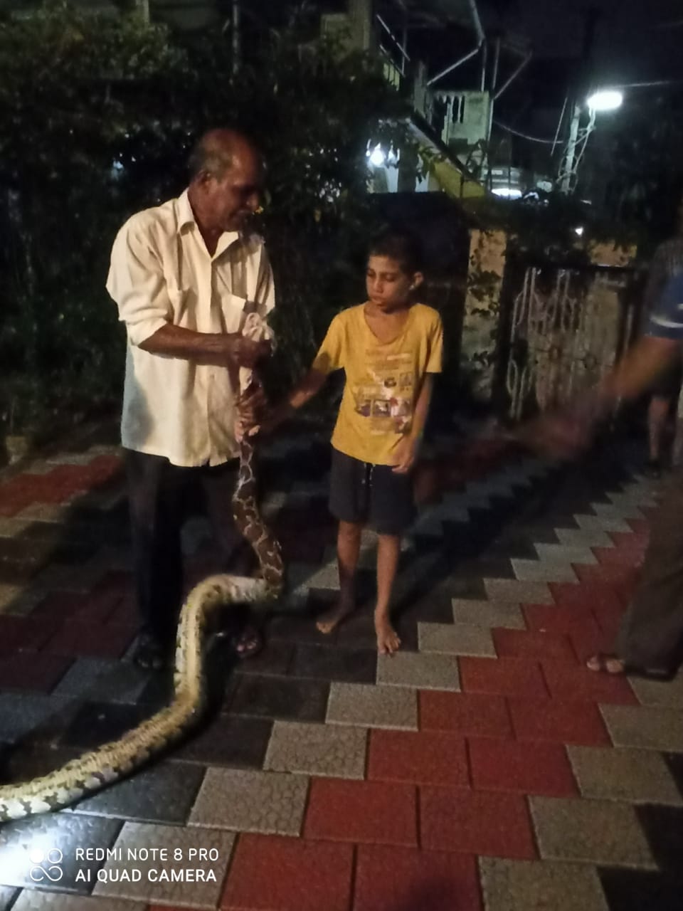 Brave boy scares off python that bit him in Karnataka