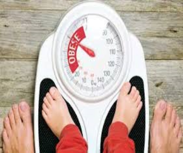Check with traditional medicine for obesity