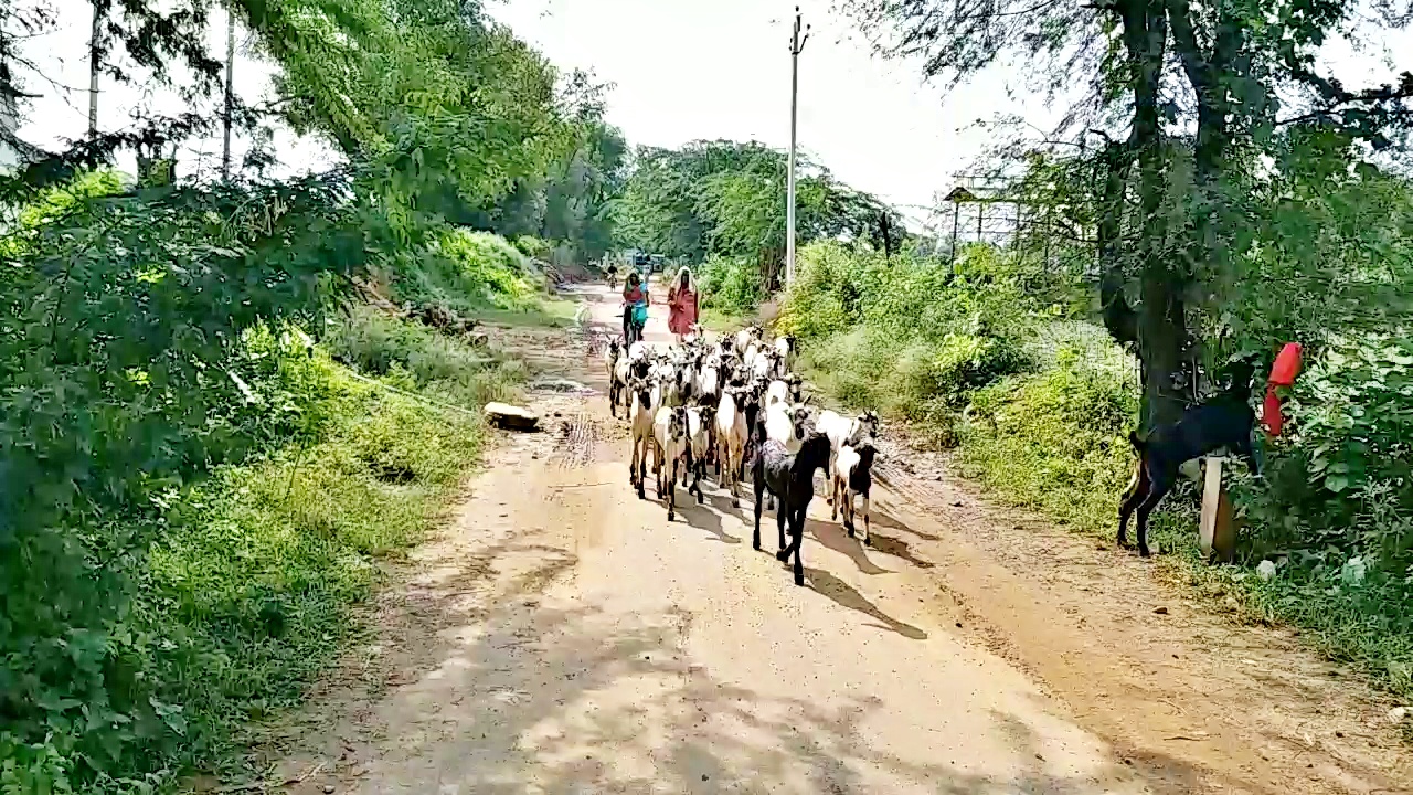 कोरोना के चलते लॉकडाउन  लॉकडाउन के बाद हालात सामान्य  औद्योगिक राजधानी अलवर  लॉकडाउन की खबर  अलवर के हालात  अलवर में औद्योगिक इकाइयां  alwar news  rajasthan news  Industrial units in Alwar  alwar conditions  lockdown news  industrial capital alwar  things are normal after lockdown  lockdown due to corona  after lockdown and unlock  people situation started normal