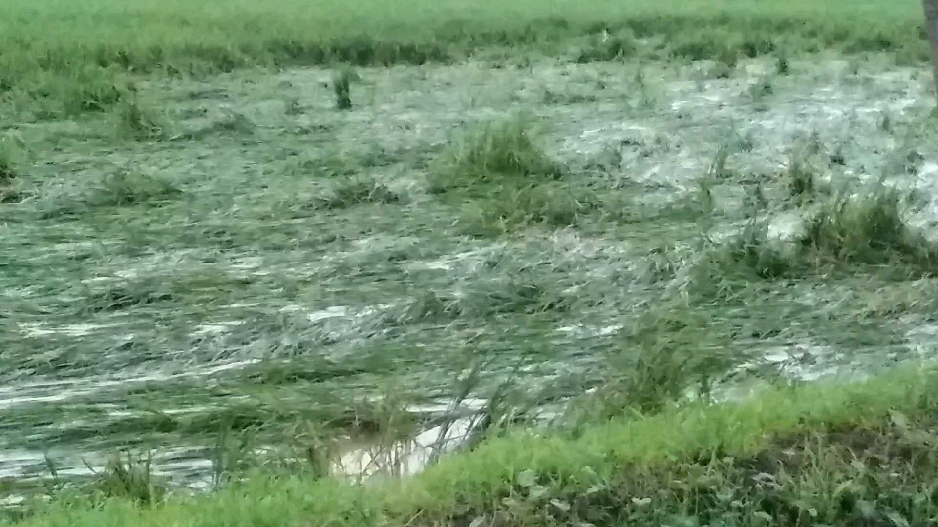 Heavy Rainfall Predicted over Andhra Pradesh