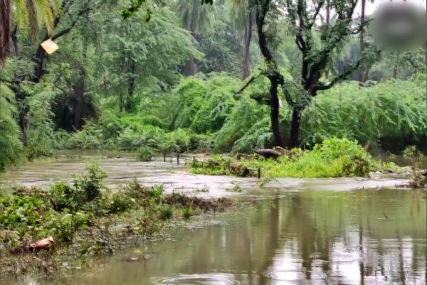 Nehru Zoological Park in Hyderabad sees waterlogging due to heavy rainfall