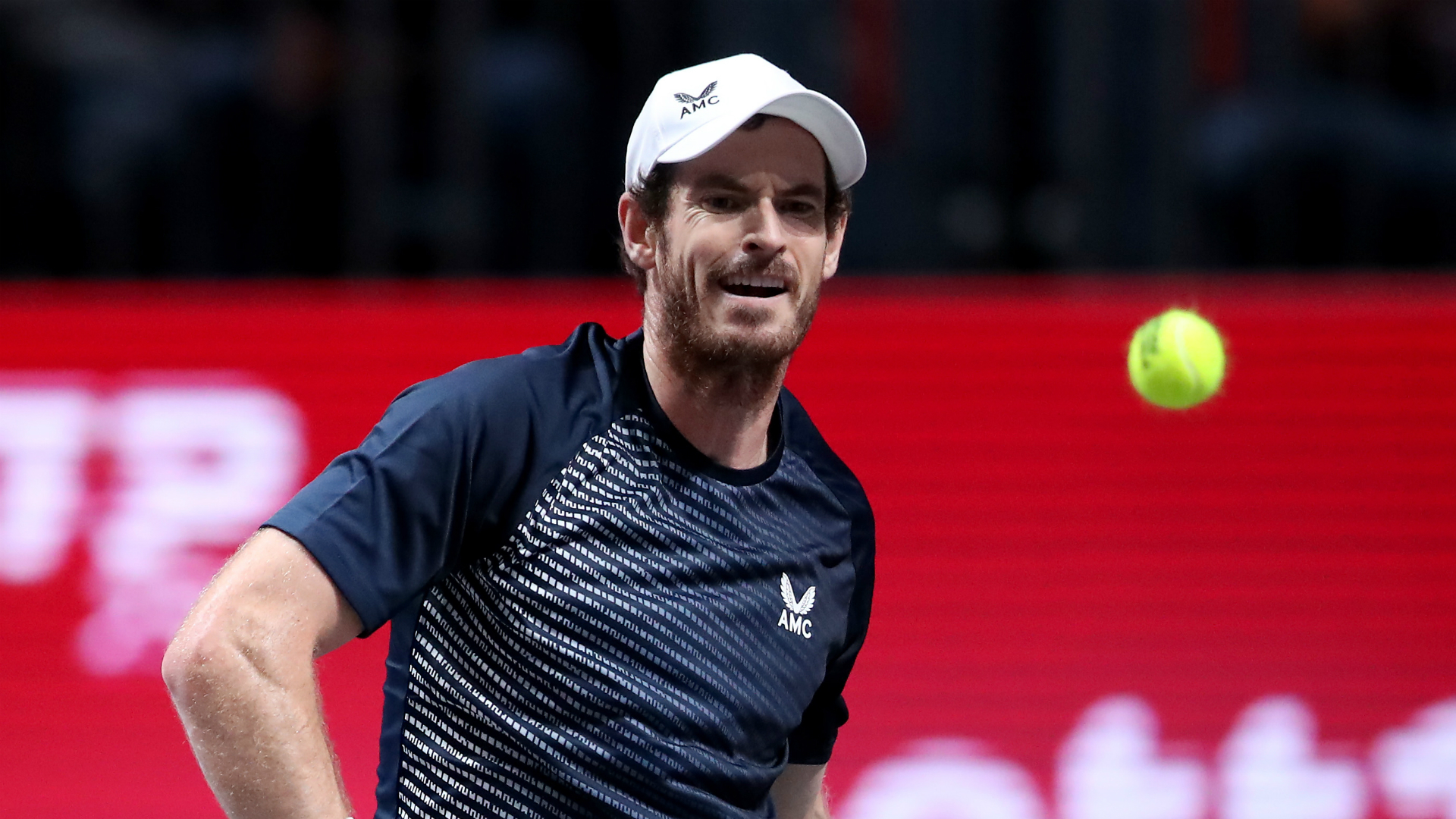 Andy Murray, Tennis, Cologne's ATP indoor tournament