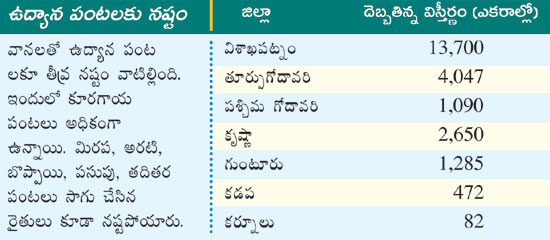 six districts effected due to deep depressionin andhra pradesh