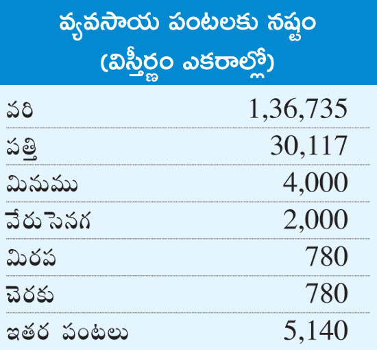 six districts effected due to deep depressionin andhra pradesh