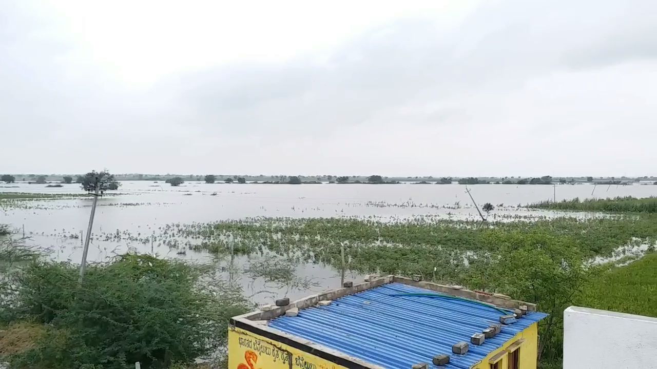 Heavy Rain Lash in North Karnataka Causing Inundation: 111 House of Rabakavi Banahatti Wrecked