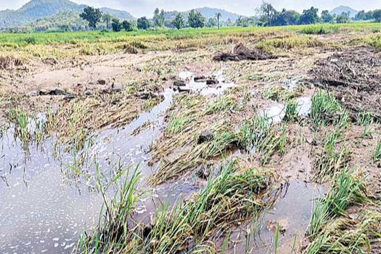 4lakhs farmers losses crops in telangana