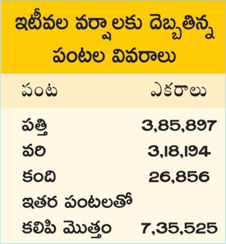 4lakhs farmers losses crops in telangana